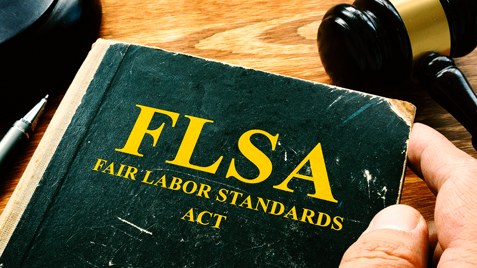 Fair-Labor-Standards-Act-Book