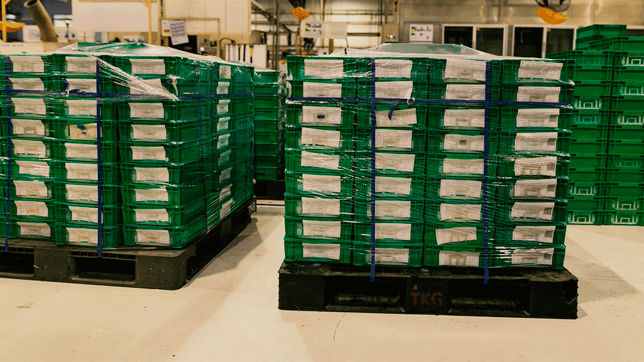 Boxes-on-Black-Plastic-Pallet-in-Warehouse