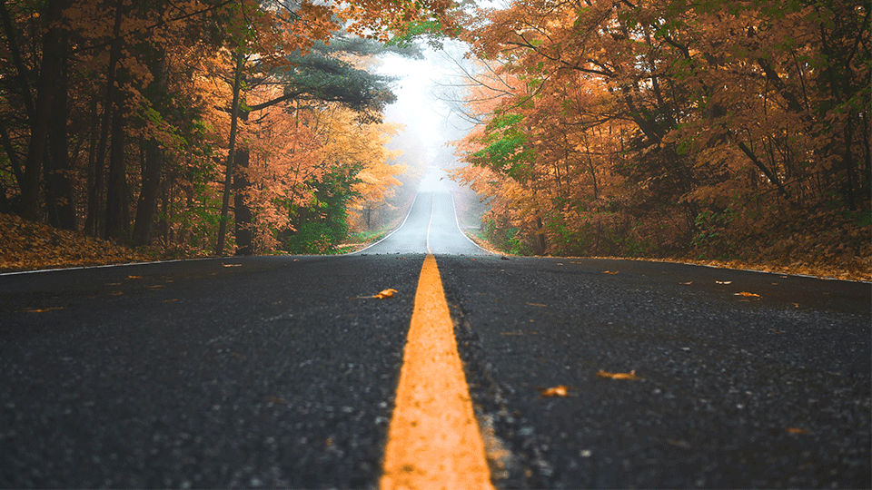 Highway-in-the-fall