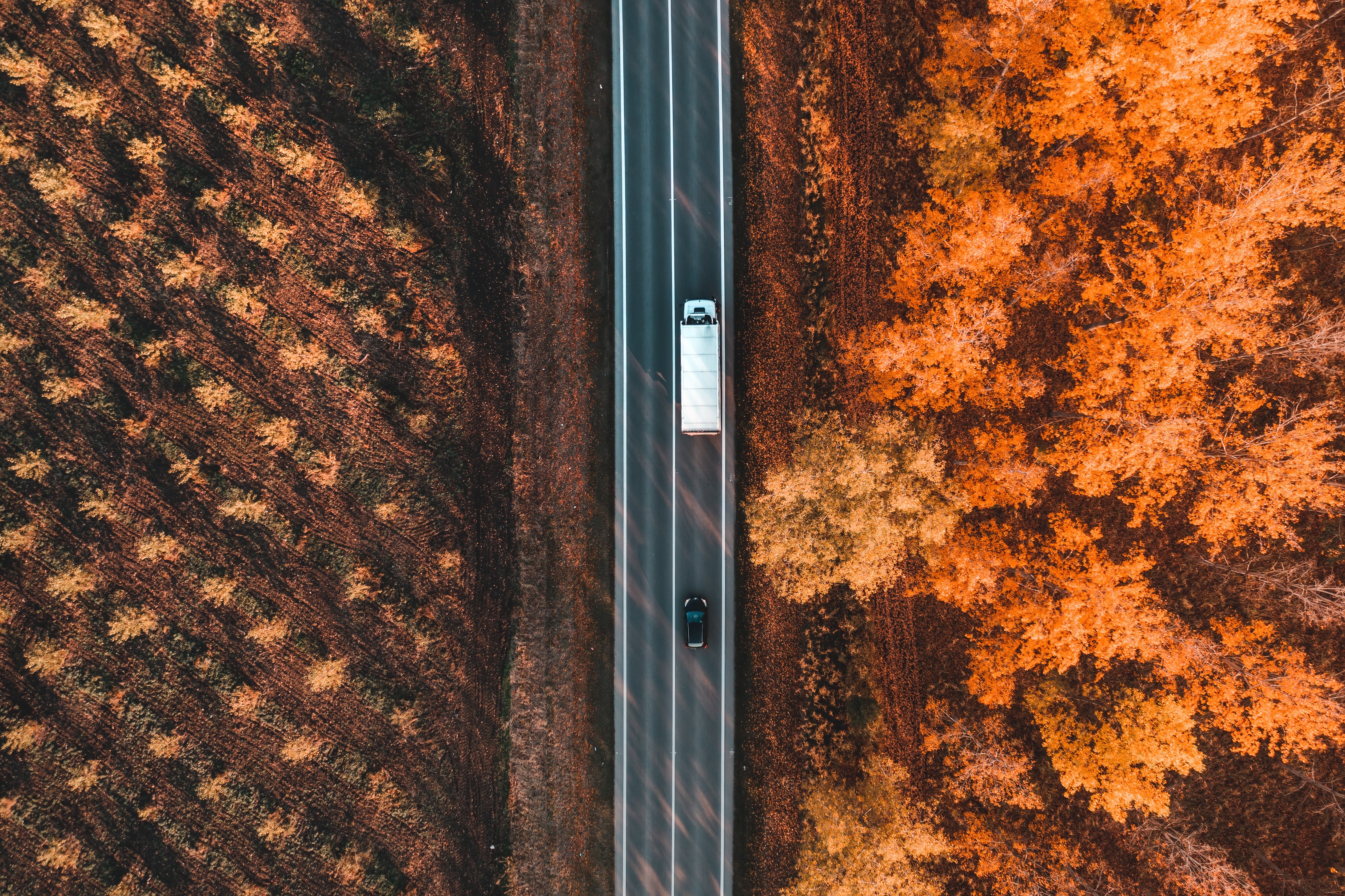 Aerial shot of a semi truck and car traveling northbound through a forest in autumn