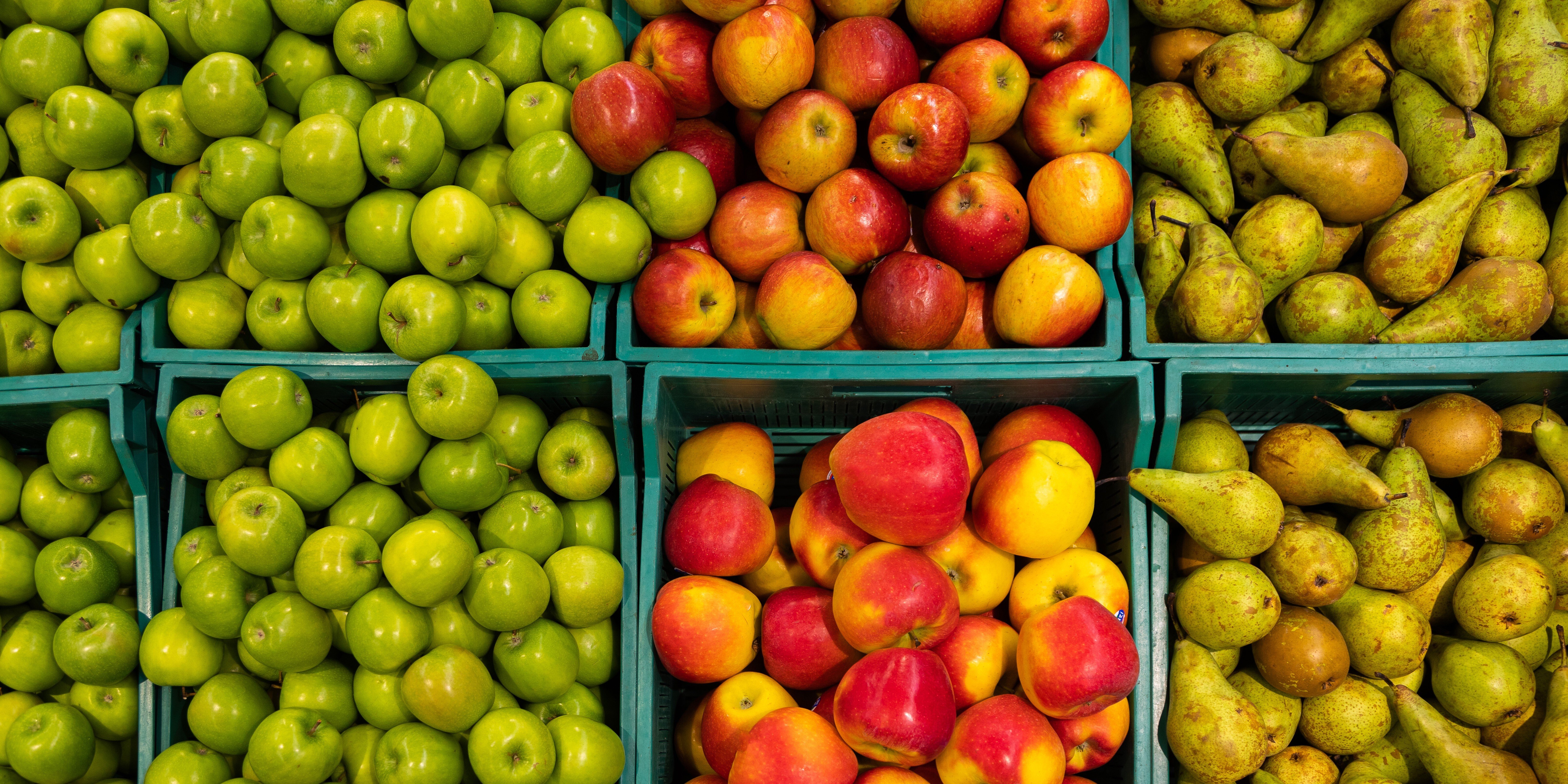 apple-and-pear-harvests