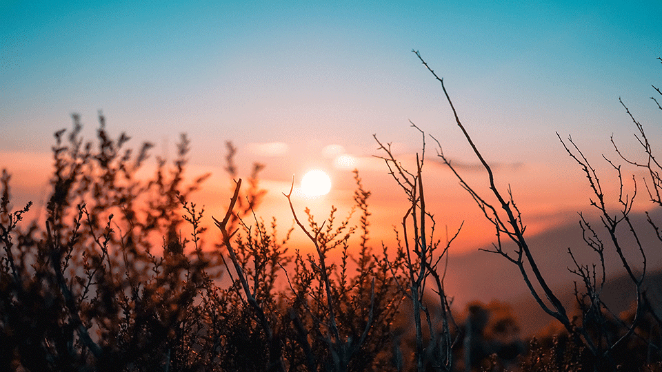 Same-day-sunrise
