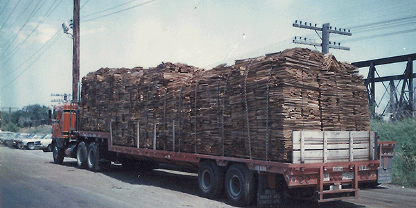 Freight In Transit