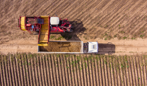 A harvester in action